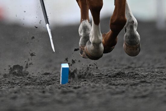 Игры БРИКС. Конный спорт. Тентпеггинг