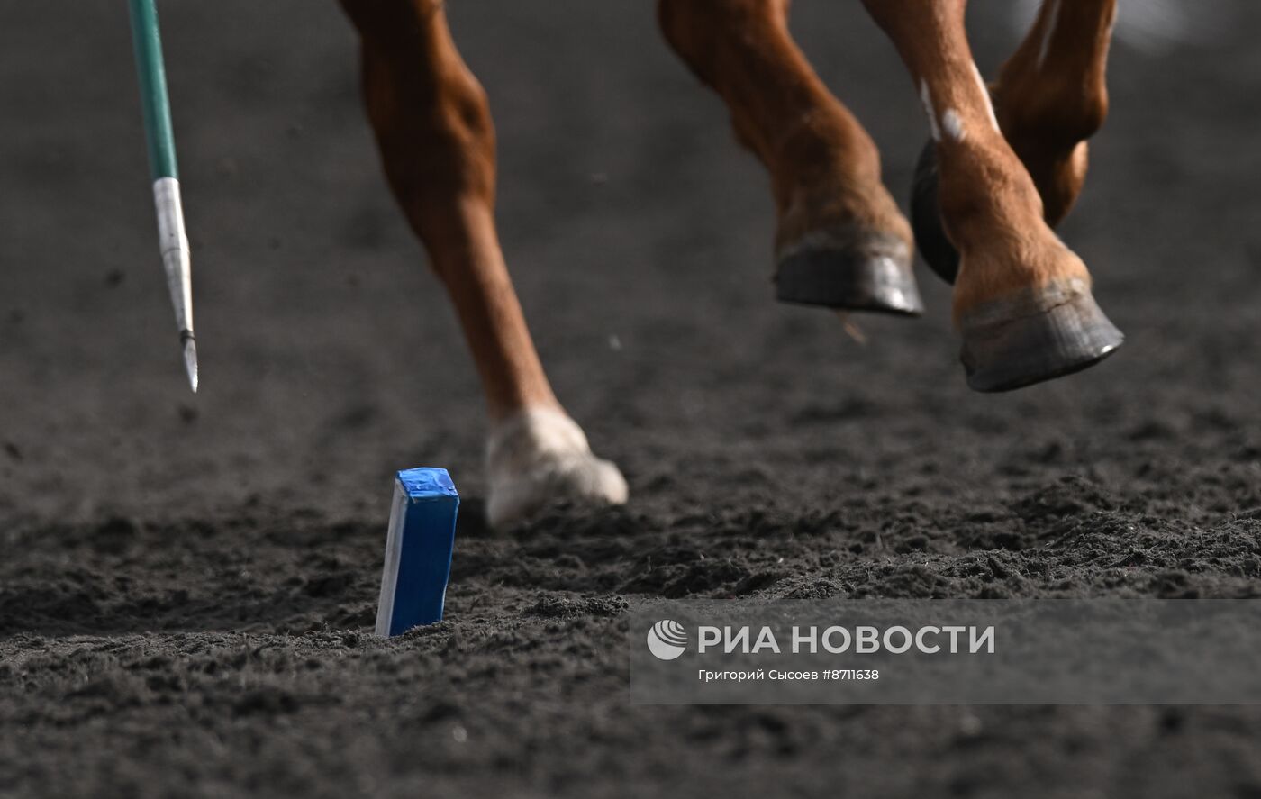 Игры БРИКС. Конный спорт. Тентпеггинг