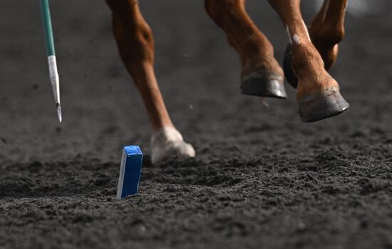 Игры БРИКС. Конный спорт. Тентпеггинг