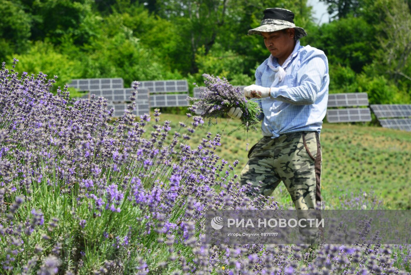 Производство косметической продукции в Краснодарском крае