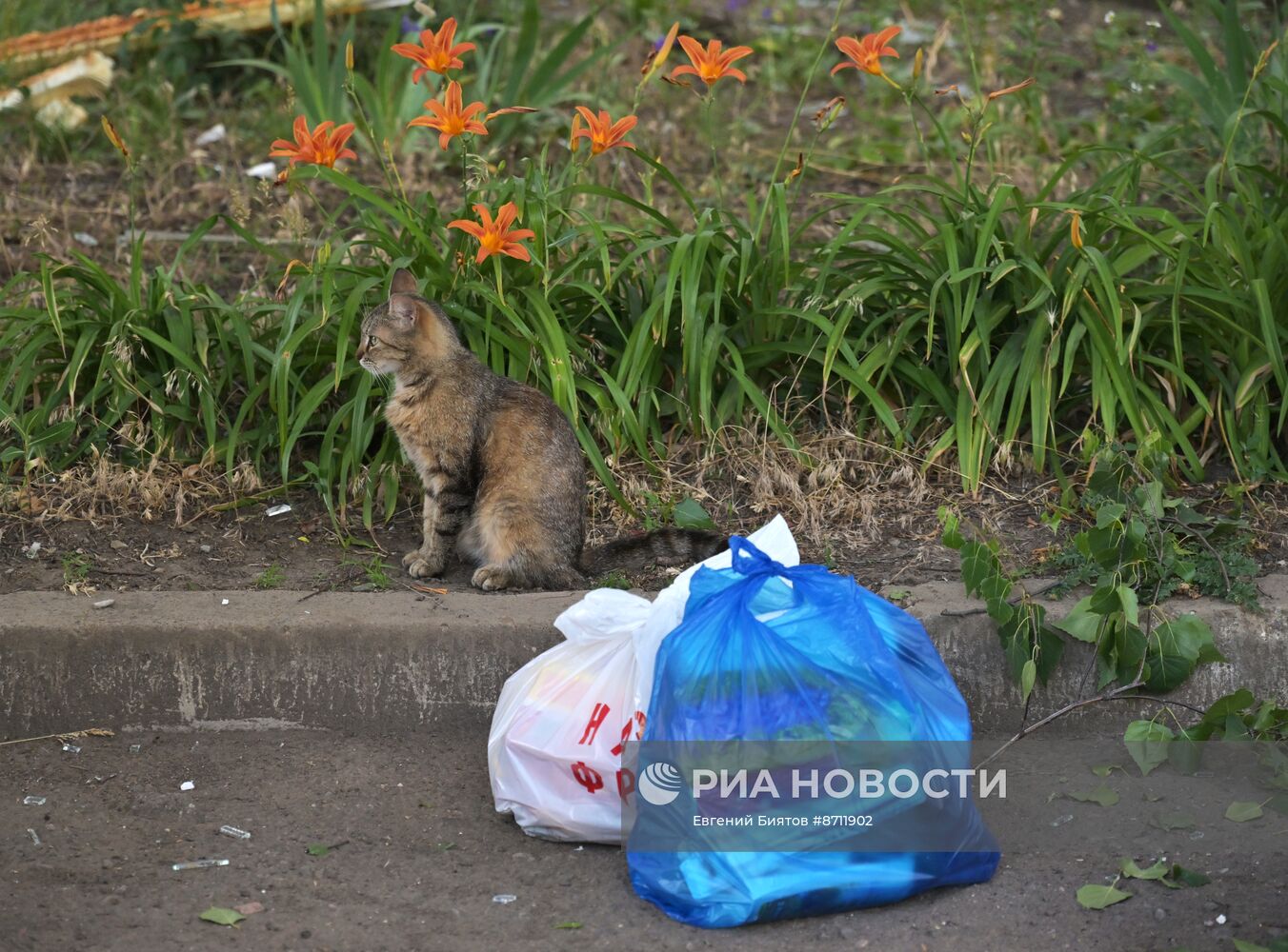 Последствия обстрела ВСУ Первомайска в ЛНР