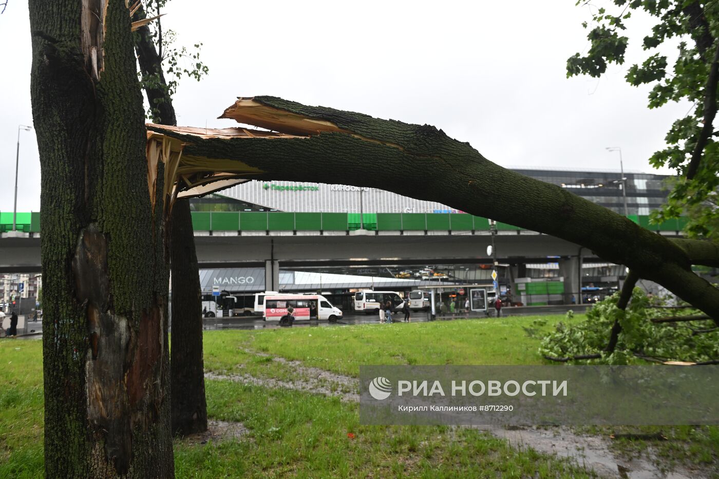 Сильный дождь в Москве