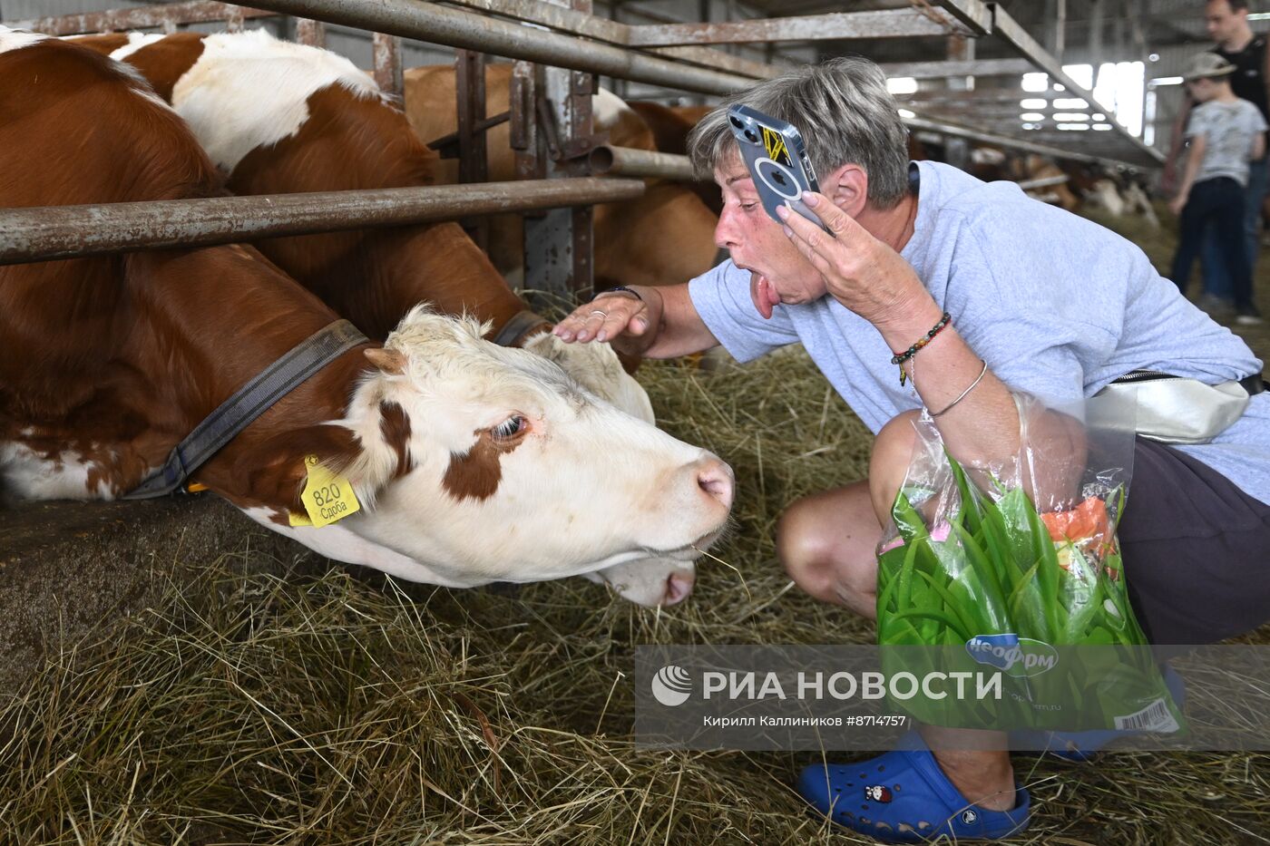 Гастрономический фестиваль на Истринской сыроварне Олега Сироты 