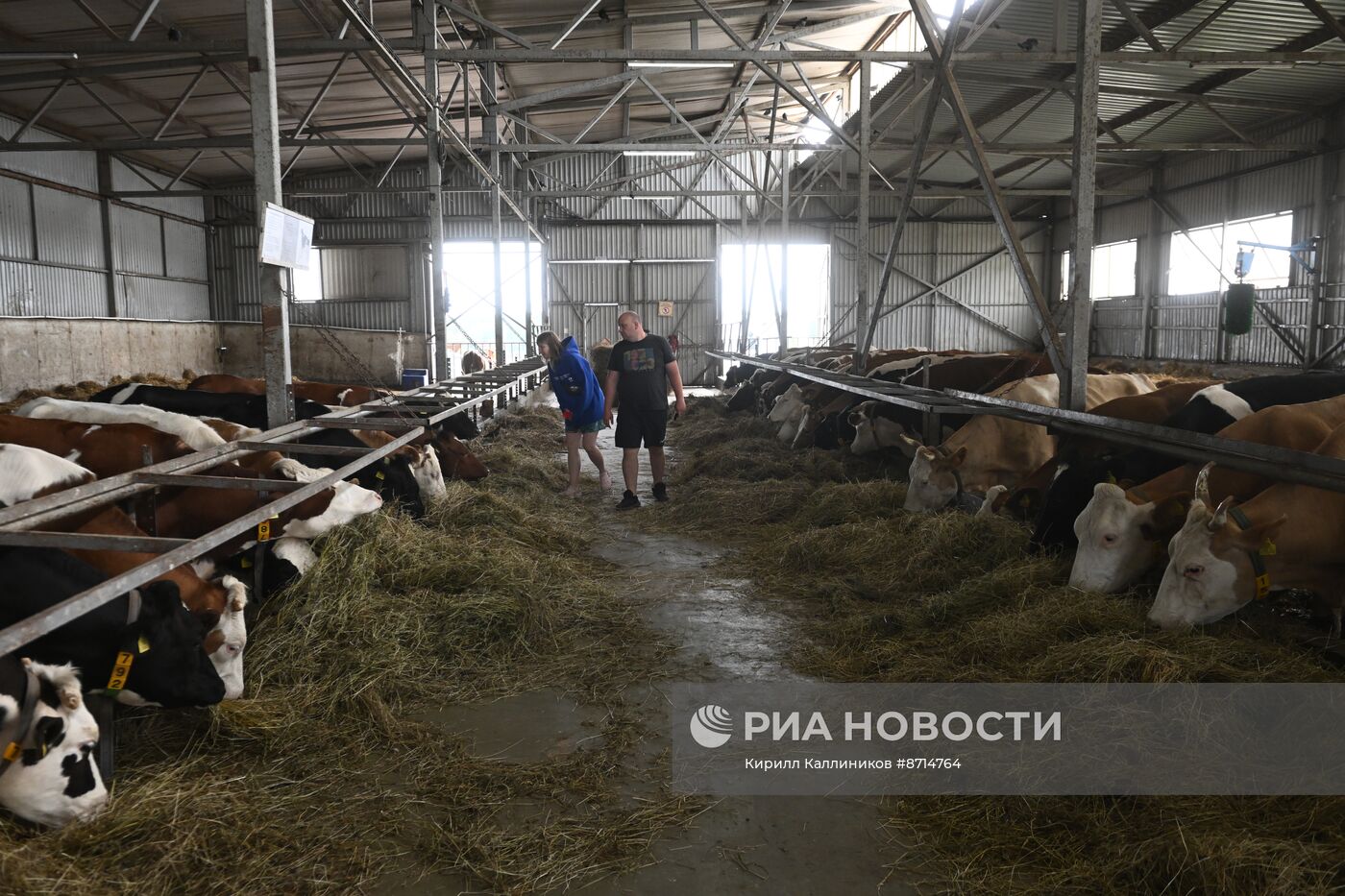 Гастрономический фестиваль на Истринской сыроварне Олега Сироты 