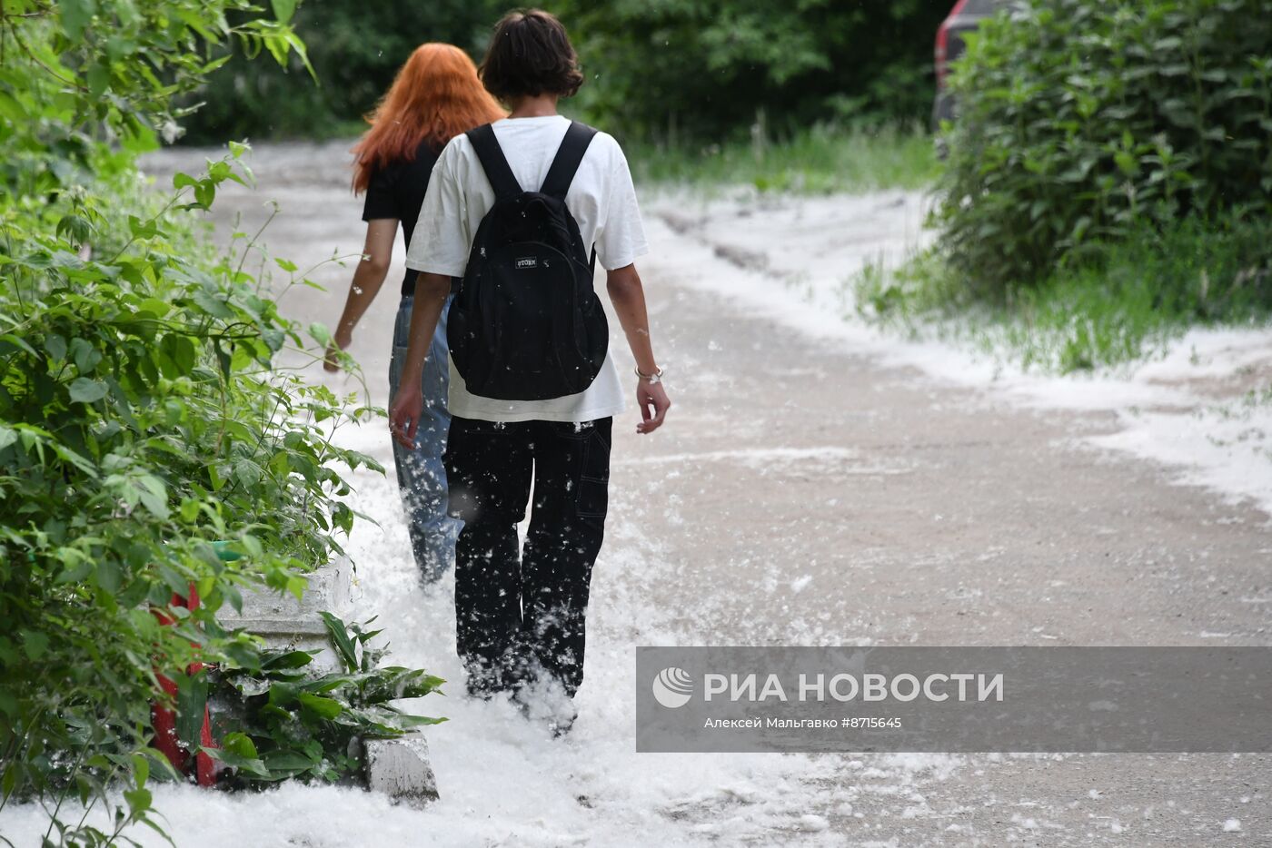 Тополиный пух в Омске