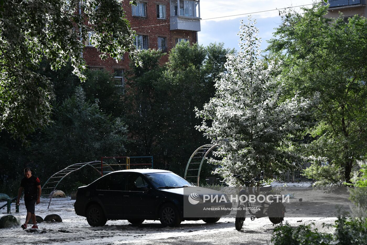 Тополиный пух в Омске
