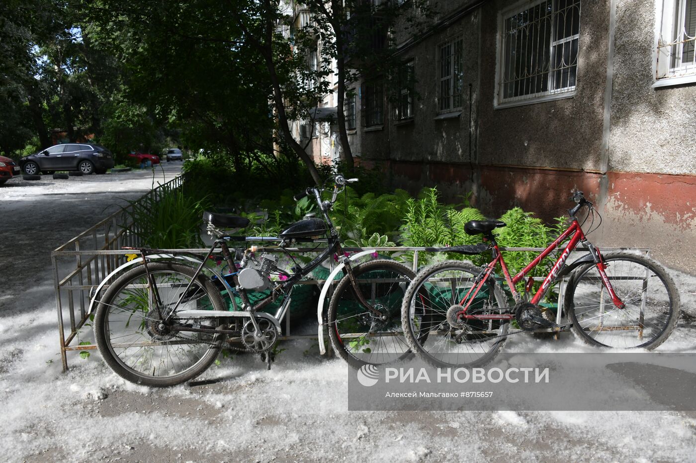 Тополиный пух в Омске