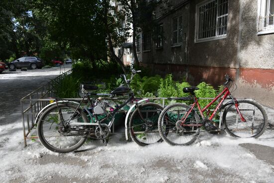 Тополиный пух в Омске