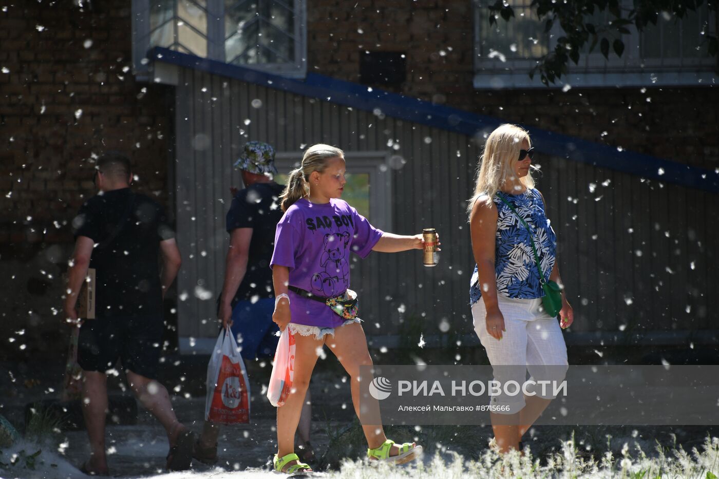 Тополиный пух в Омске