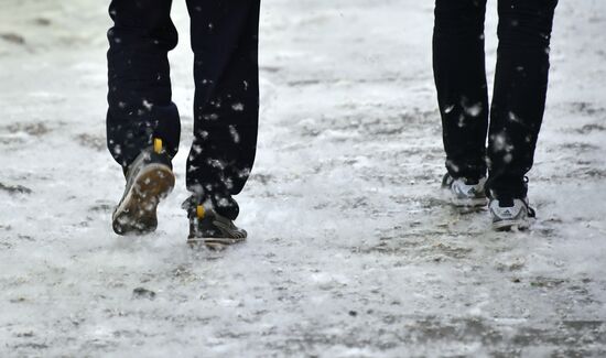 Тополиный пух в Омске