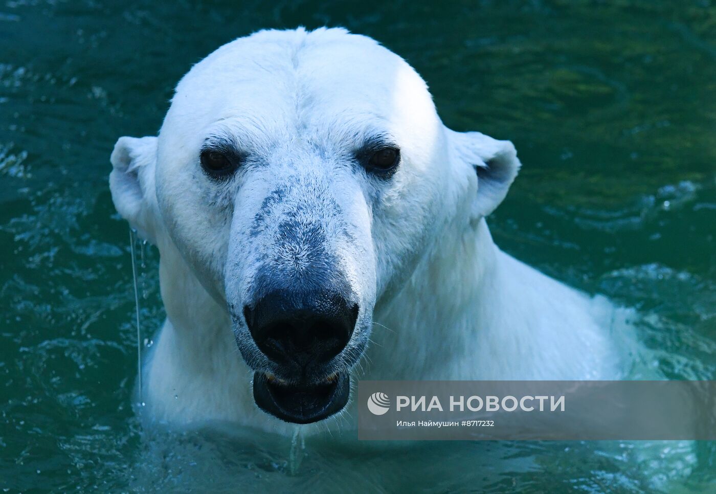 Парк флоры и фауны "Роев ручей" в Красноярске