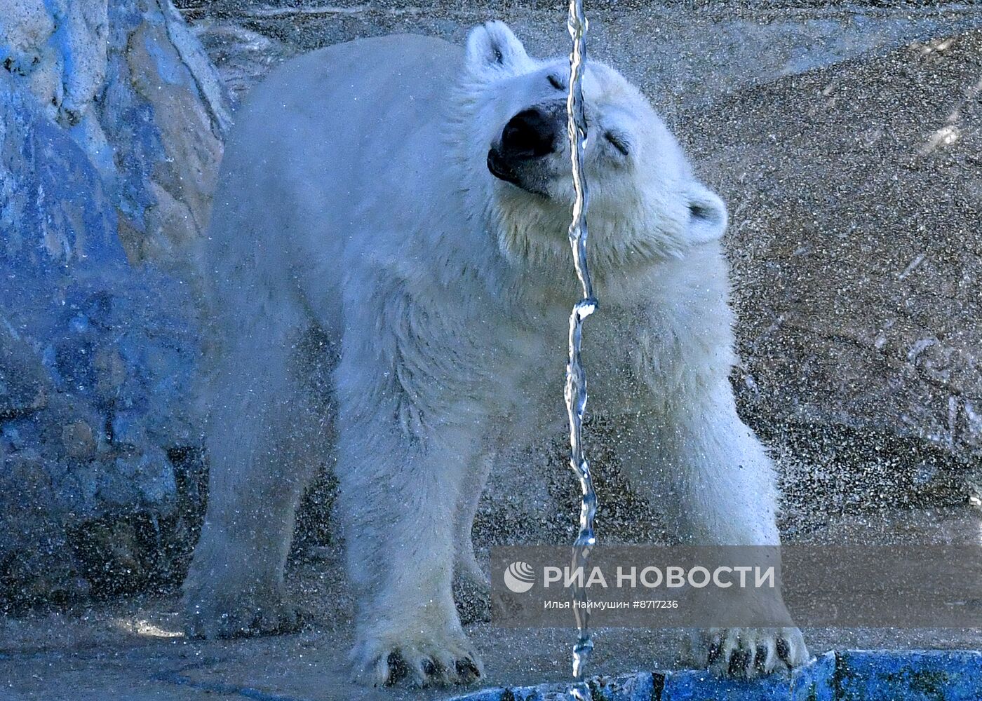 Парк флоры и фауны "Роев ручей" в Красноярске