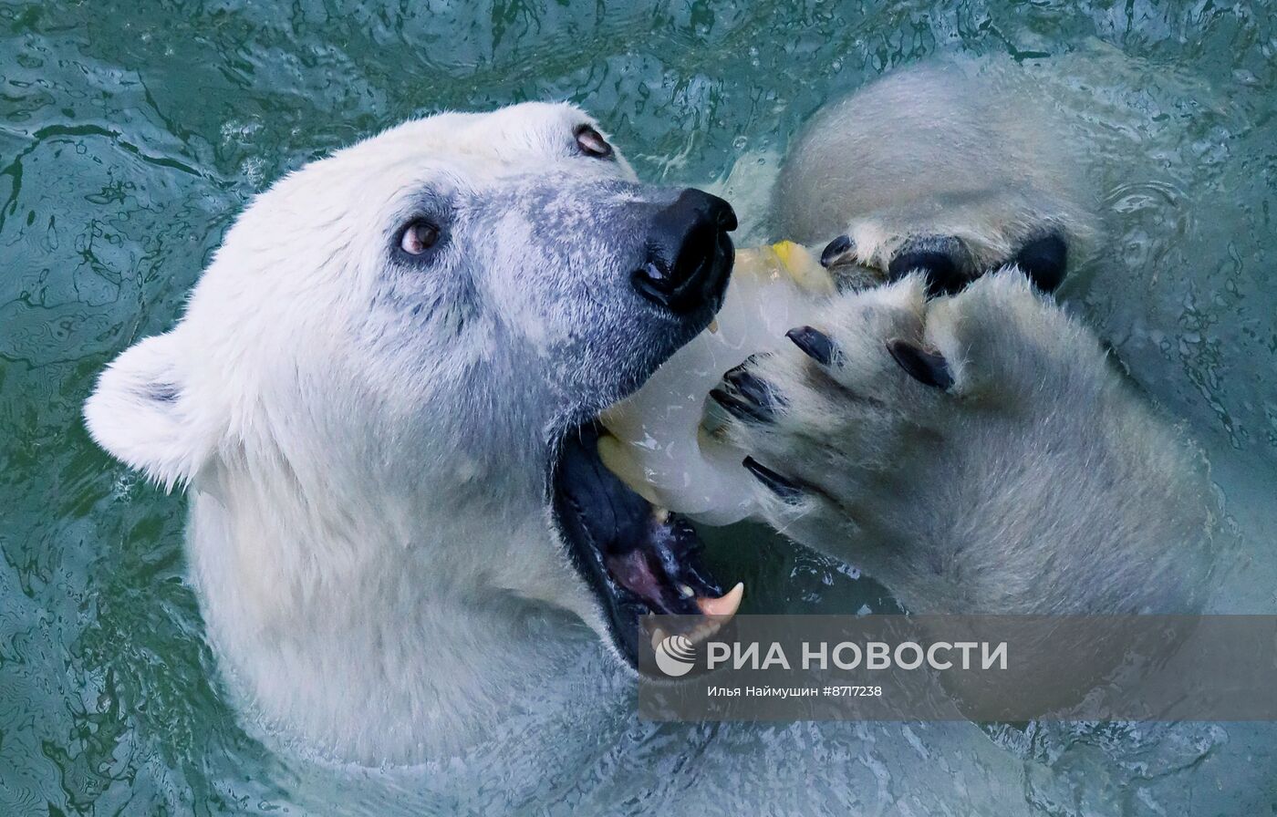 Парк флоры и фауны "Роев ручей" в Красноярске