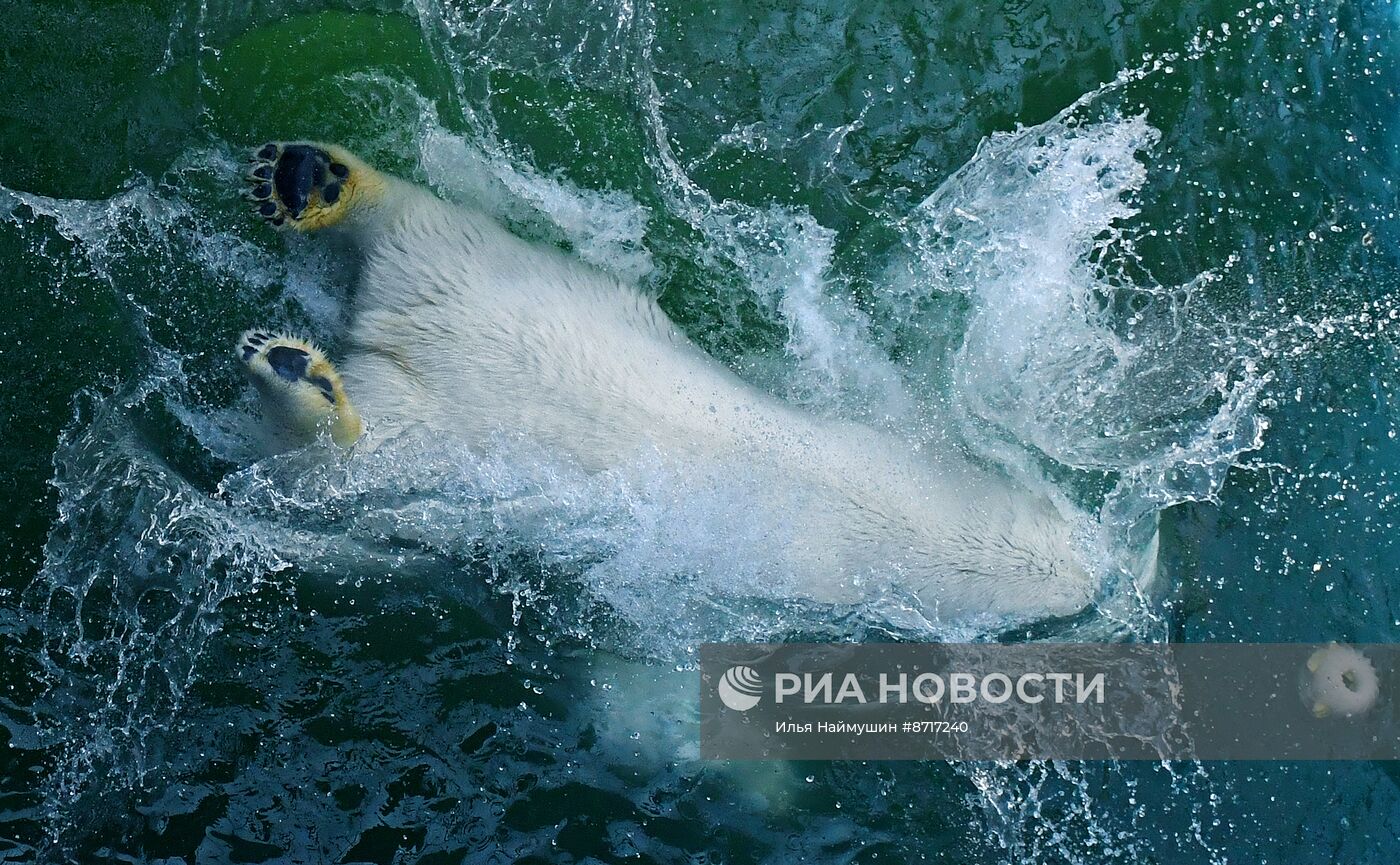 Парк флоры и фауны "Роев ручей" в Красноярске