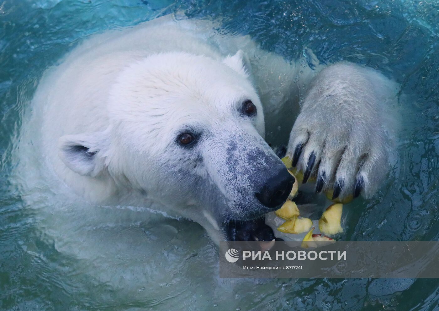 Парк флоры и фауны "Роев ручей" в Красноярске