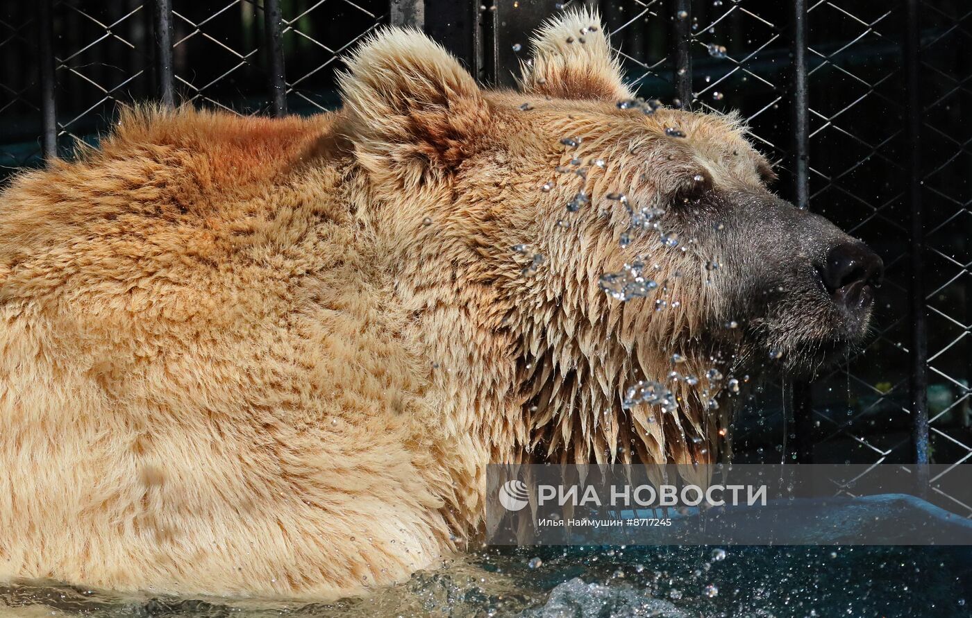 Парк флоры и фауны "Роев ручей" в Красноярске