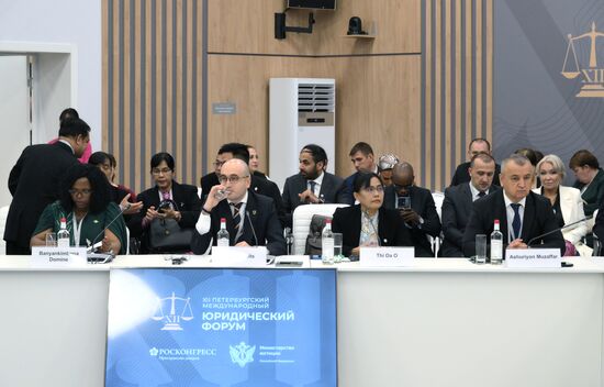 Петербургский международный юридический форум-2024