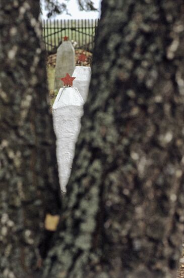 Почтальон Дорина Селиверстовна Рогалева