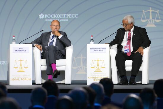 Петербургский международный юридический форум-2024