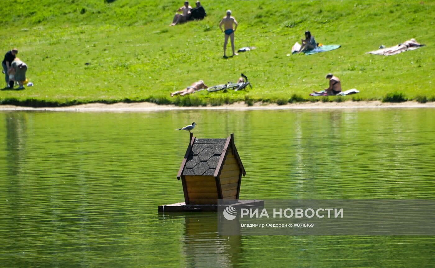 Жаркая погода в Москве