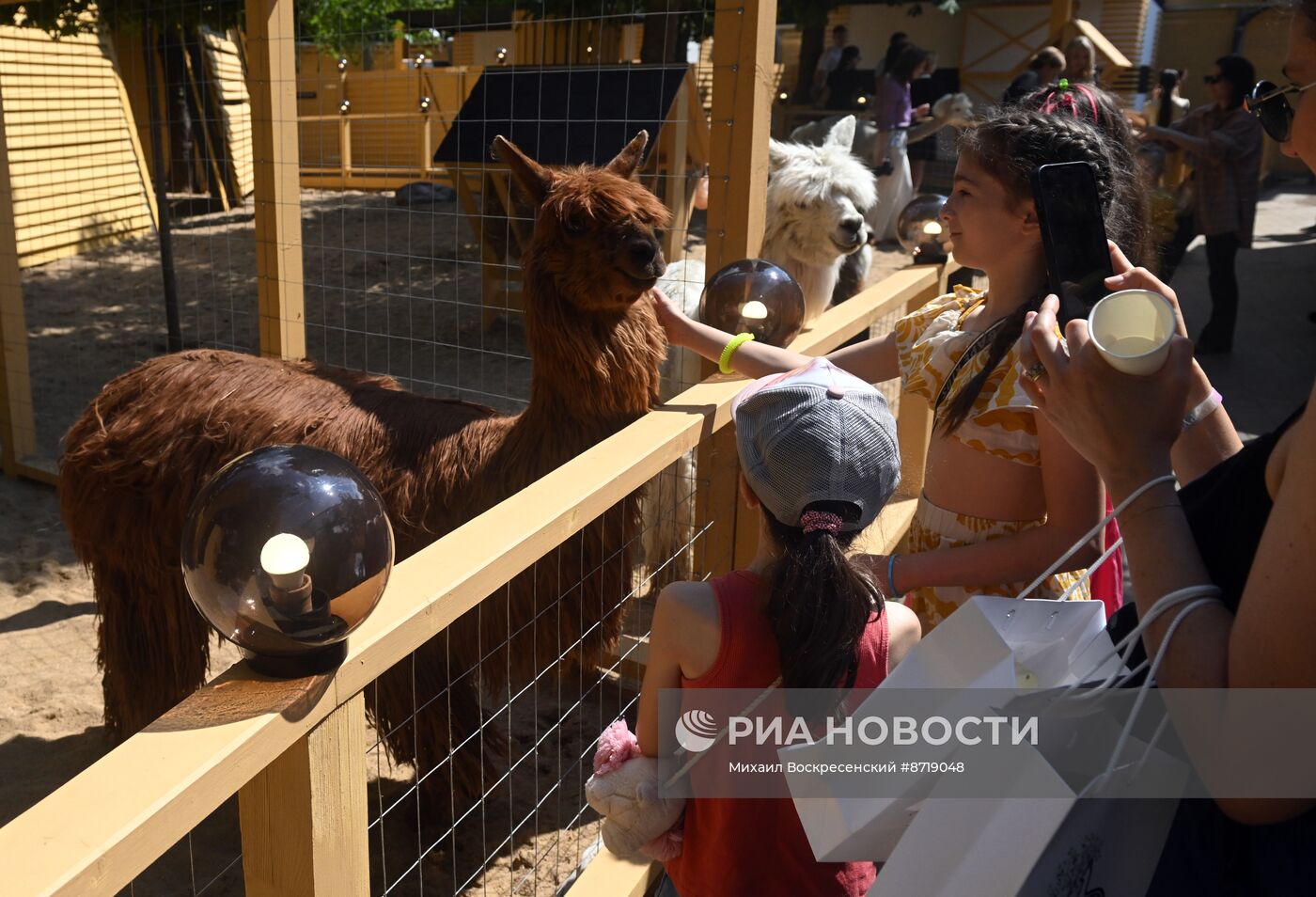 Открытие "Альпака Парк" в Московском зоопарке 