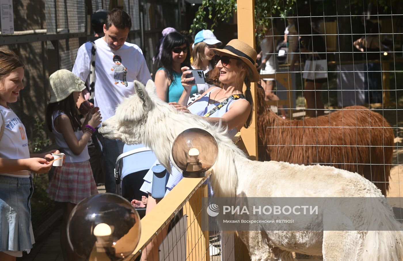 Открытие "Альпака Парк" в Московском зоопарке 