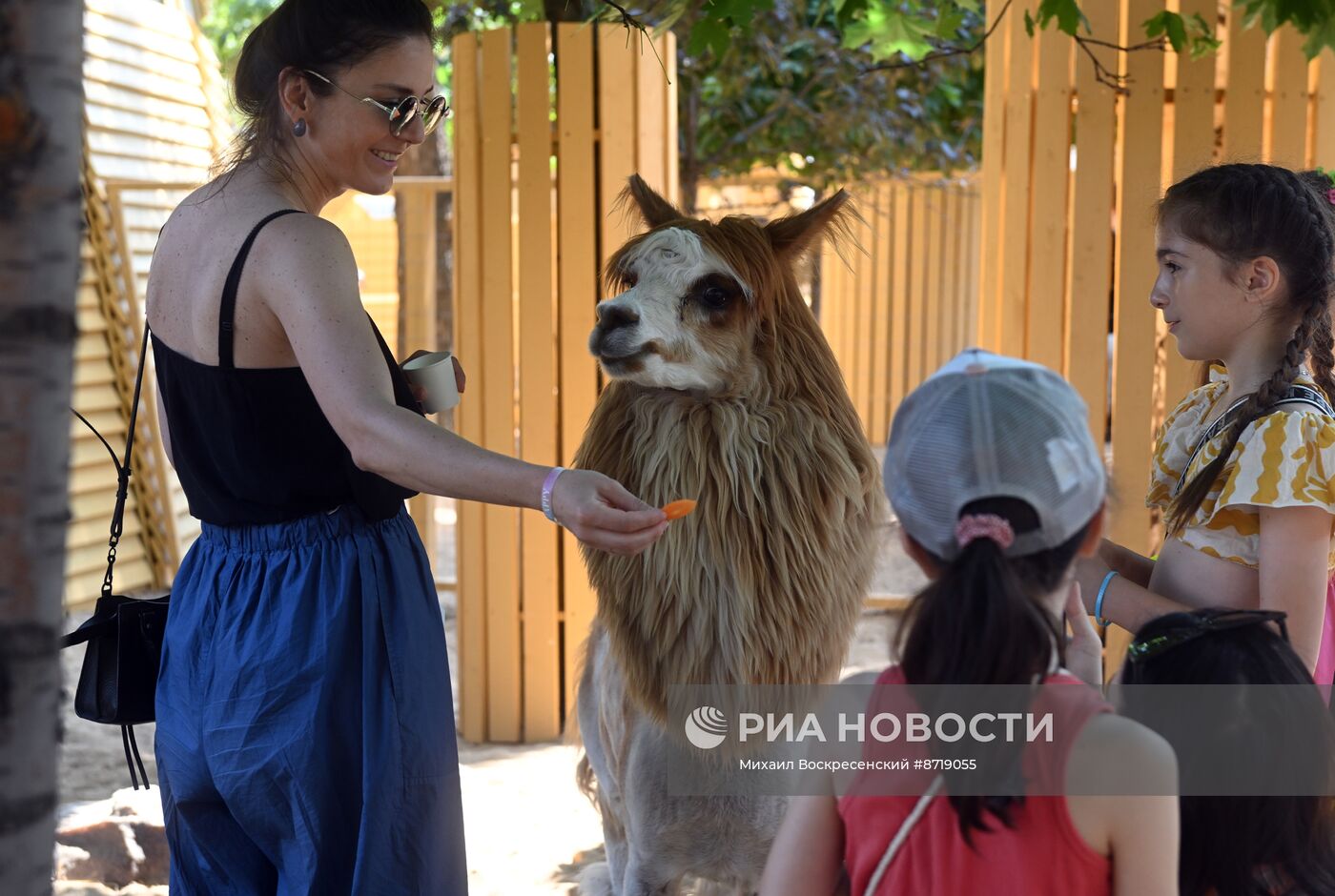 Открытие "Альпака Парк" в Московском зоопарке 