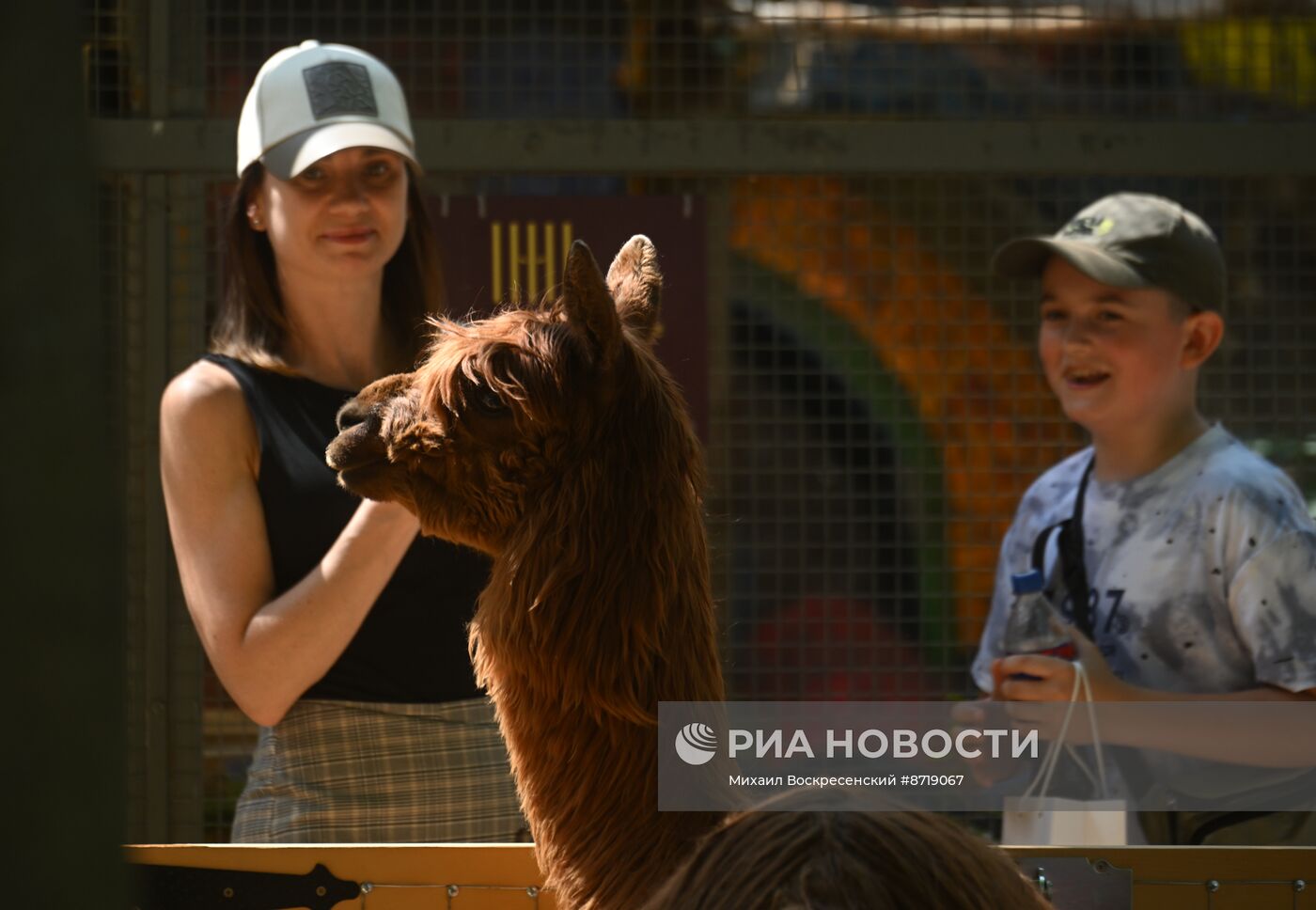 Открытие "Альпака Парк" в Московском зоопарке 