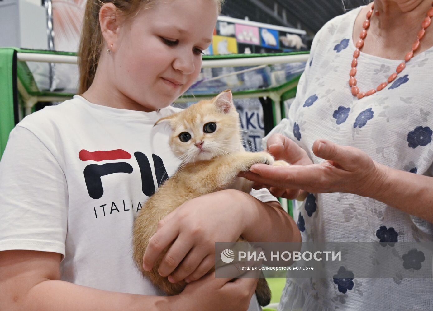 Выставка "КоШарики Шоу" в Москве