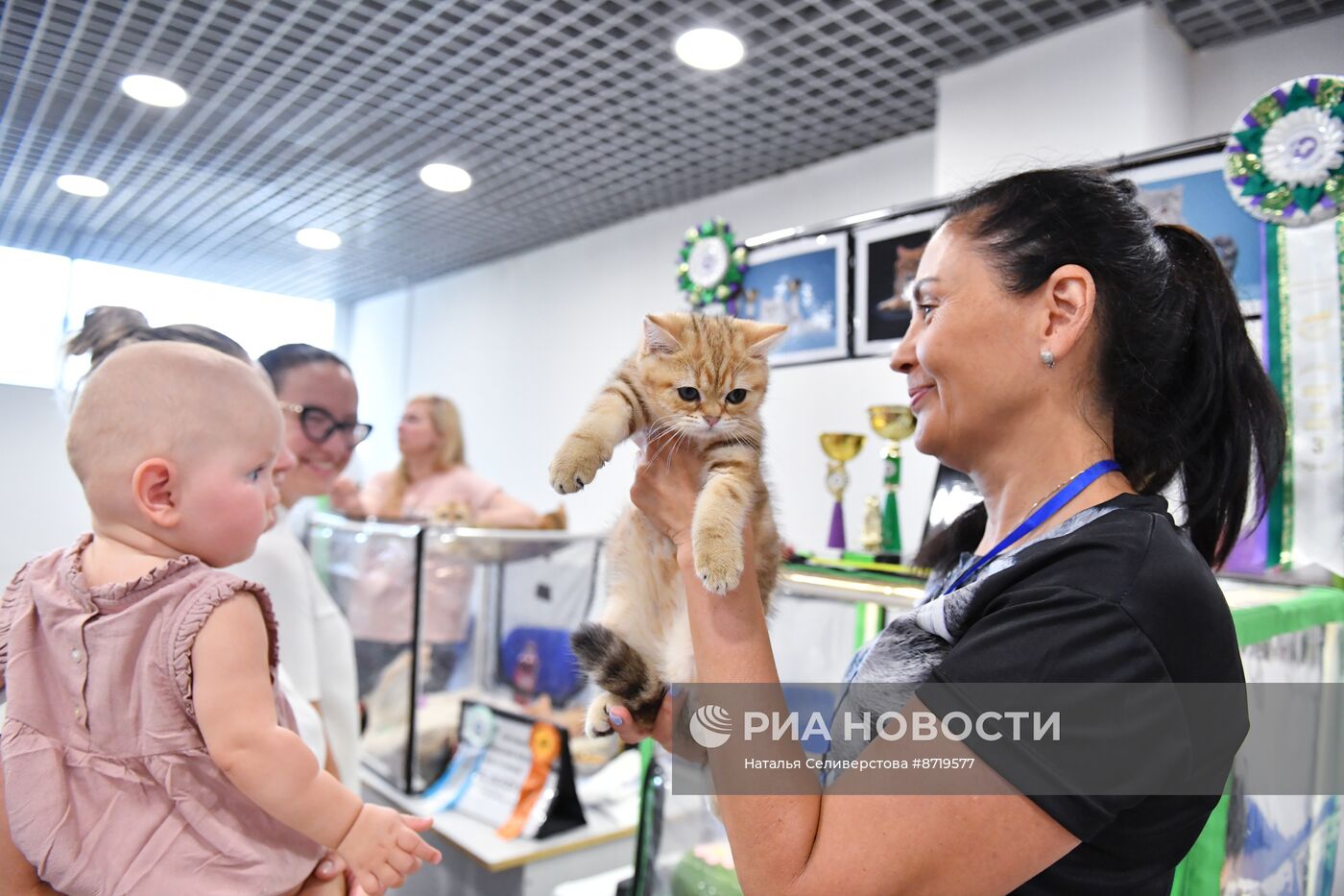 Выставка "КоШарики Шоу" в Москве