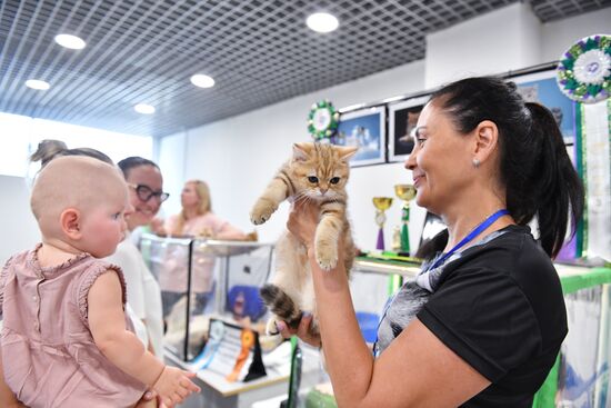 Выставка "КоШарики Шоу" в Москве