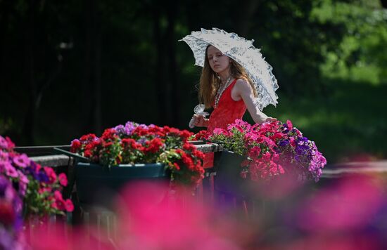 Жаркая погода в Москве