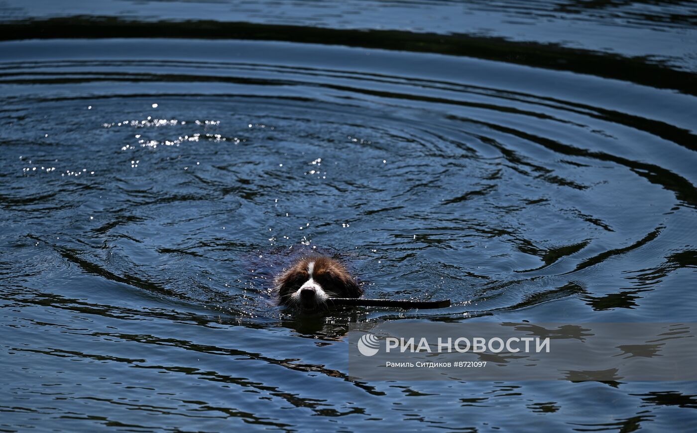 Жаркая погода в Москве