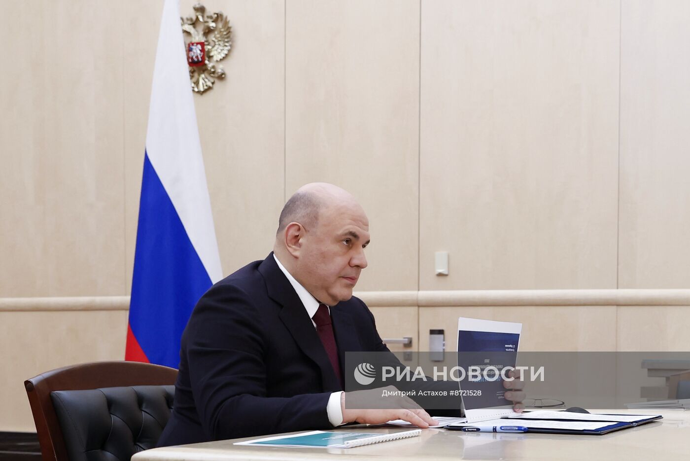 Премьер-министр Михаил Мишустин провел встречу с главой Росприроднадзора С. Радионовой