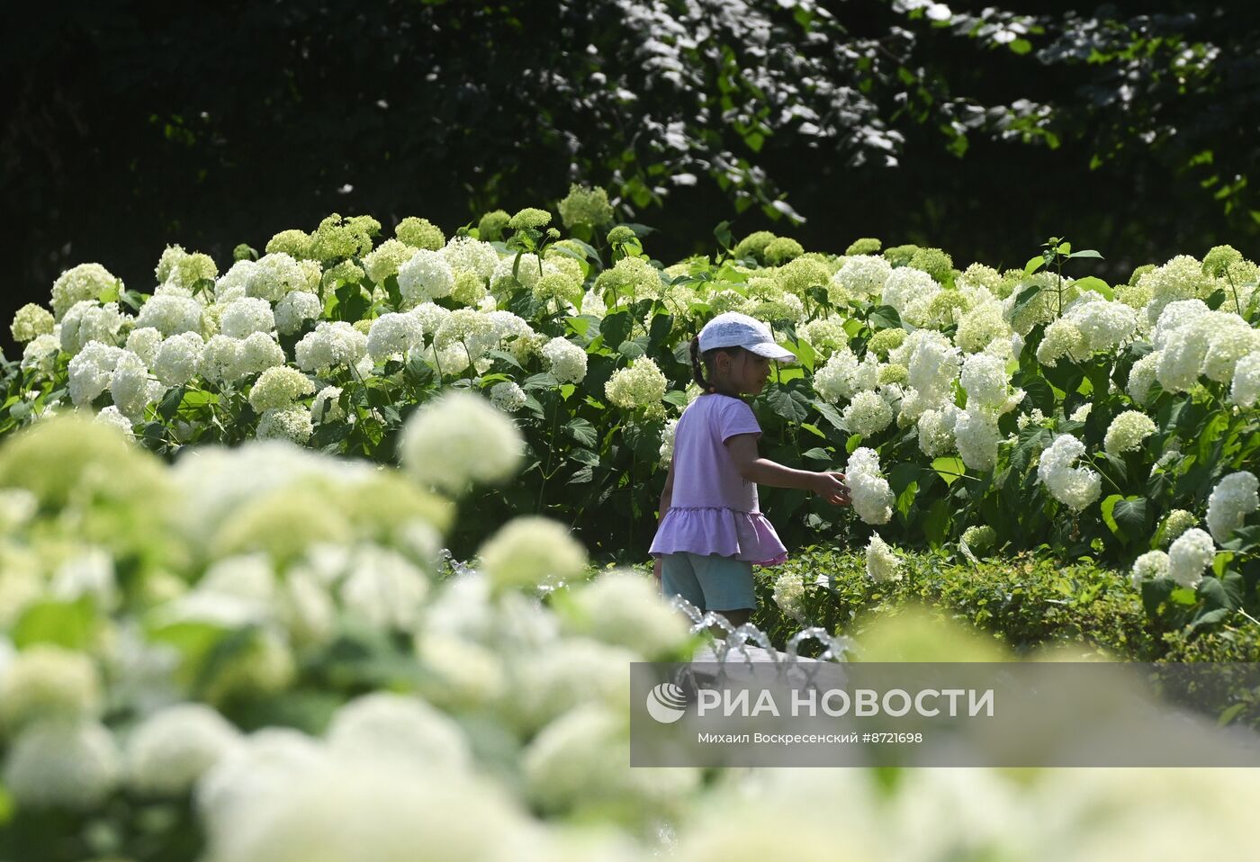 Жаркая погода в Москве