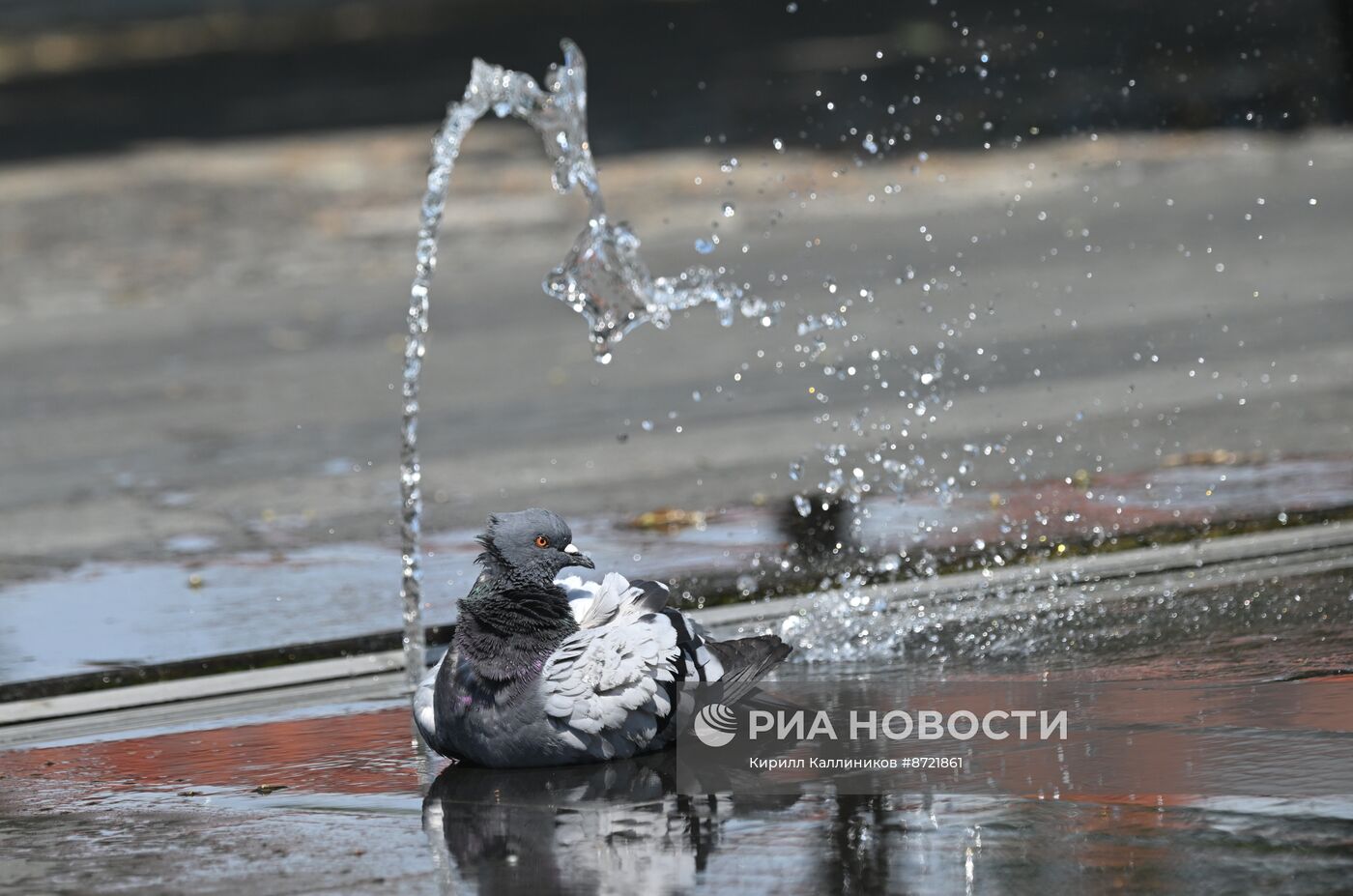 Жаркая погода в Москве