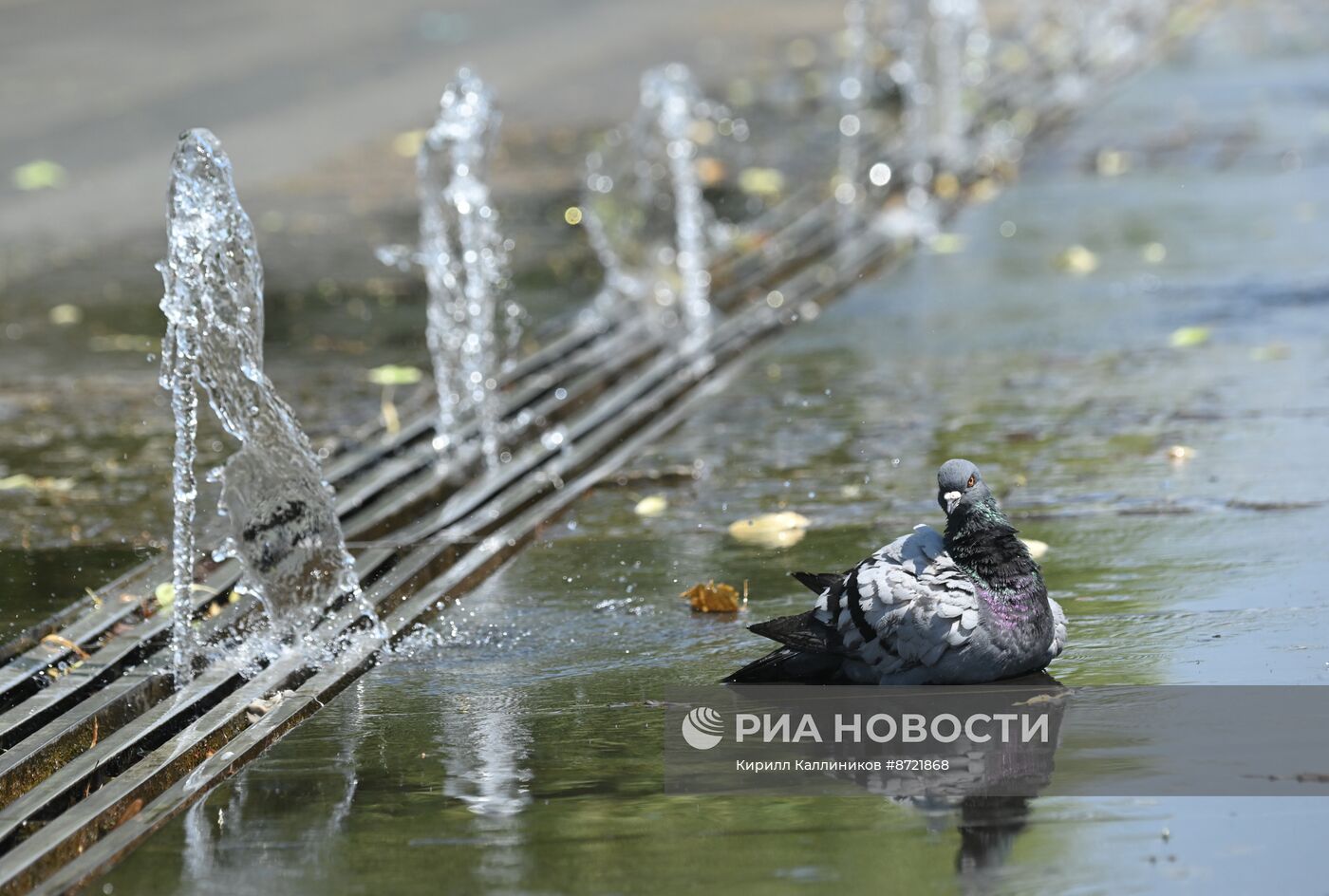Жаркая погода в Москве