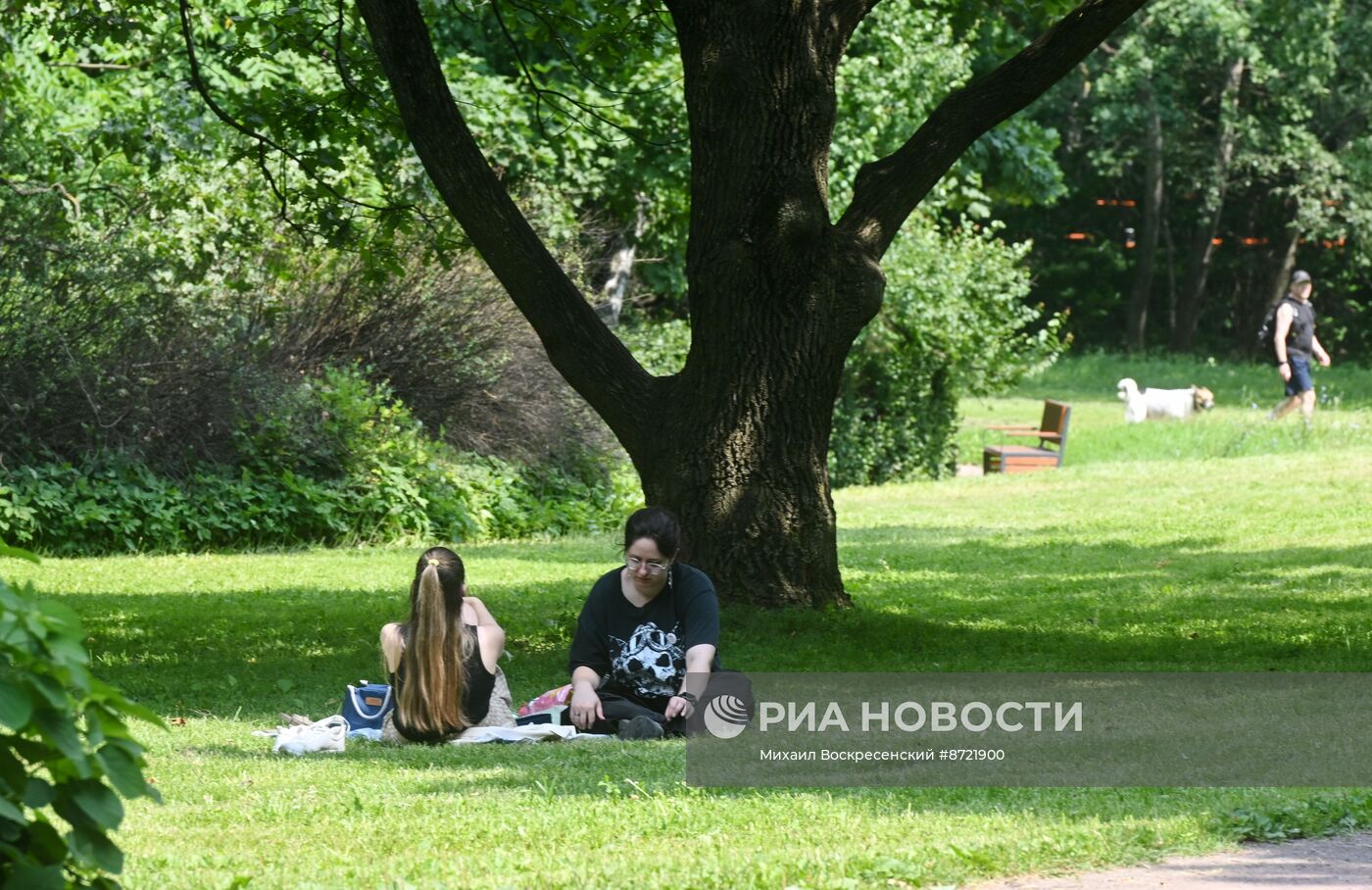 Жаркая погода в Москве