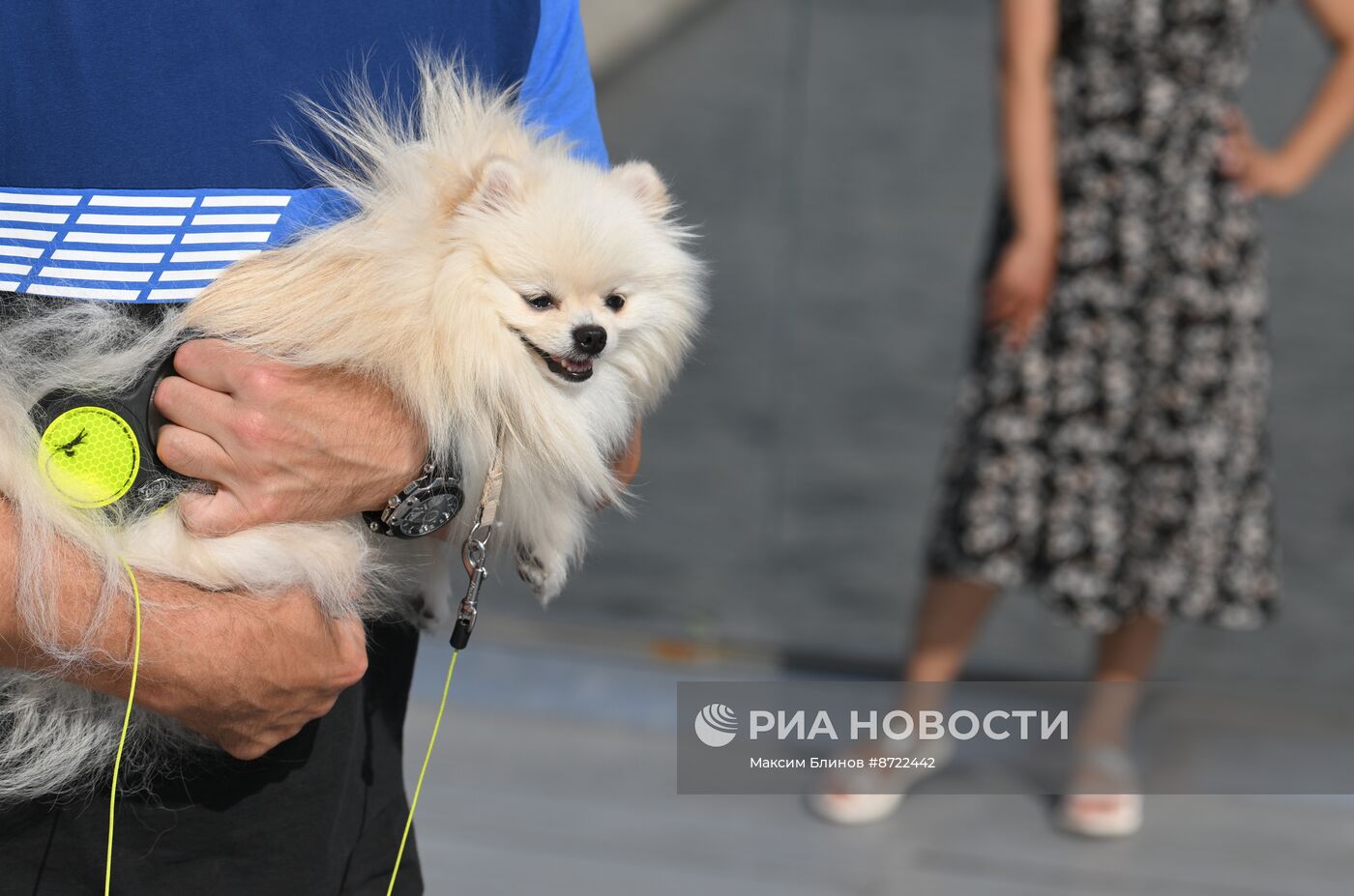 Жаркая погода в Москве