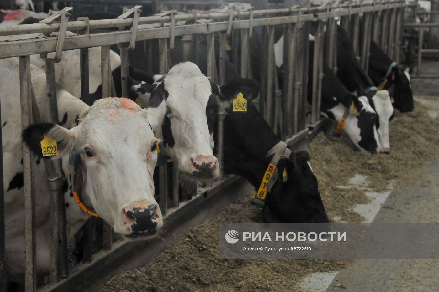Производство зерновых и масличных культур в Тамбовской области