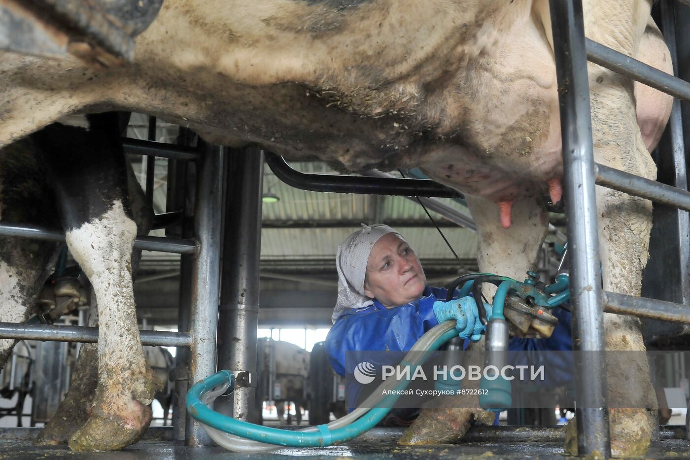 Производство зерновых и масличных культур в Тамбовской области
