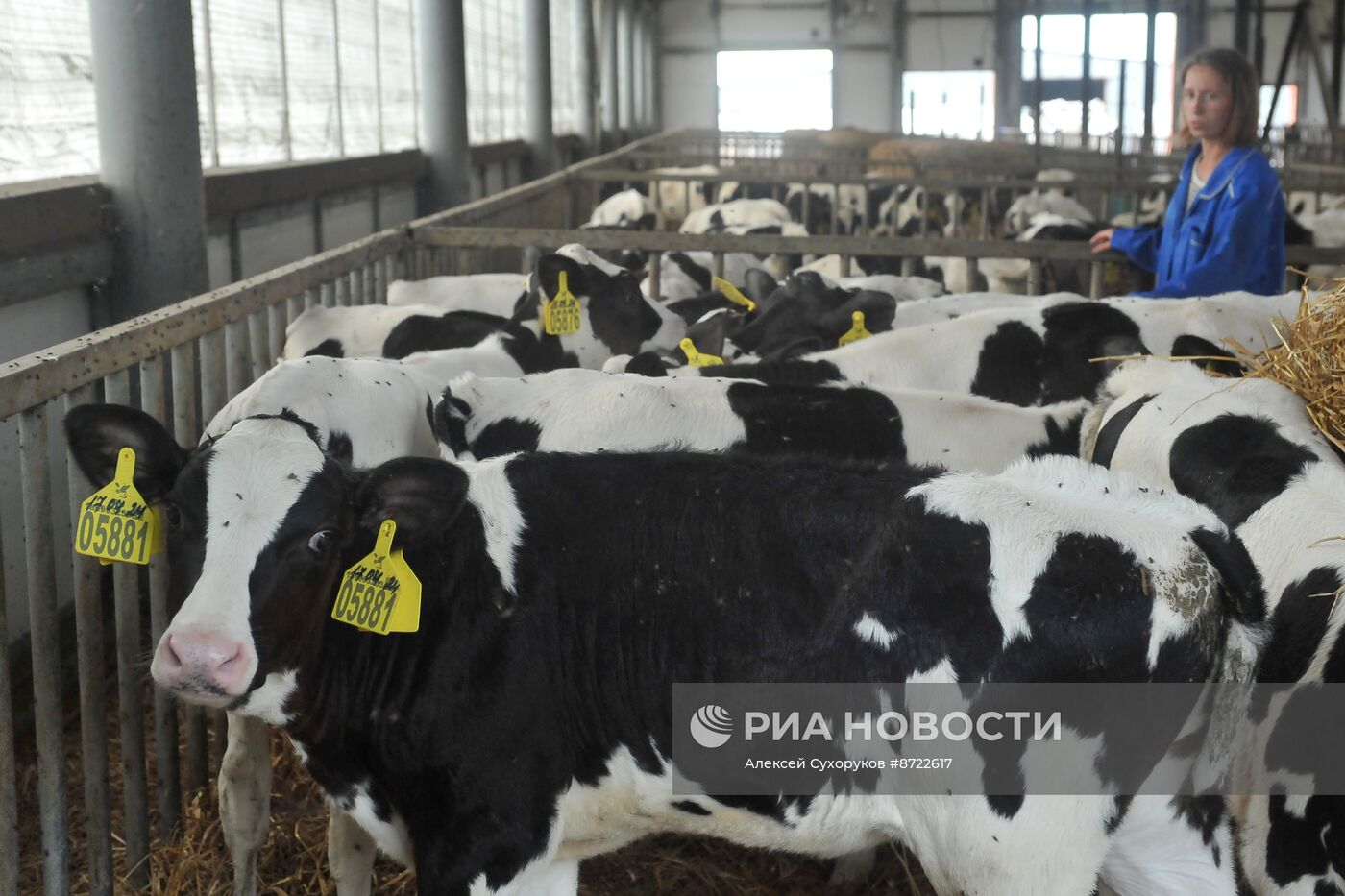 Производство зерновых и масличных культур в Тамбовской области