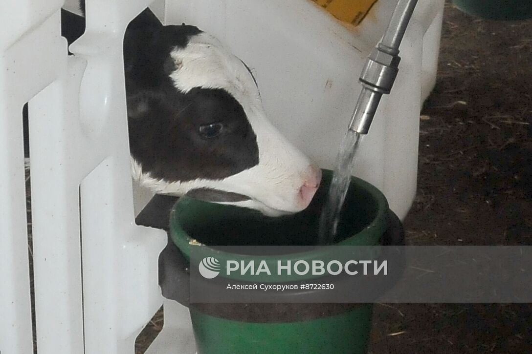 Производство зерновых и масличных культур в Тамбовской области