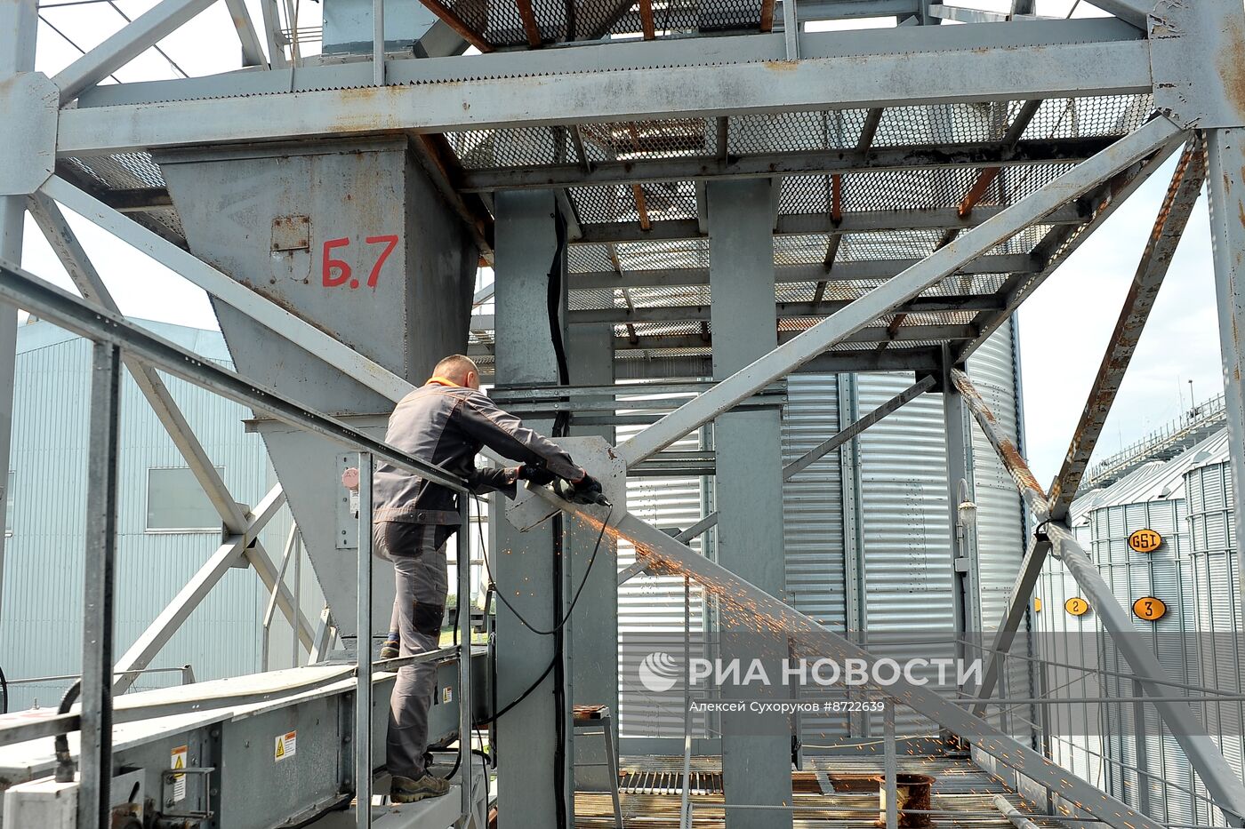 Производство зерновых и масличных культур в Тамбовской области