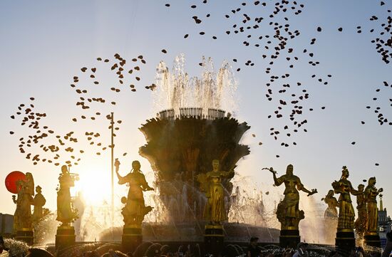 Выставка "Россия"
Торжественный концерт "Россия нигде не заканчивается", посвящённый завершению выставки
Площадка у фонтана "Дружба народов" Место: Россия, Москва. Автор: Сергей Бобылев/РИА Новости. Выставка "Россия". Торжественный концерт "Россия нигде не заканчивается", посвящённый завершению выставки