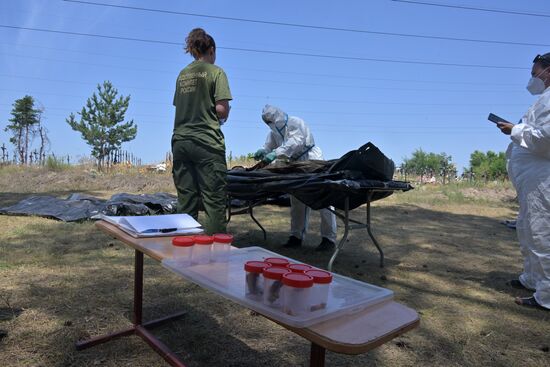 Эксгумация останков погибших жителей Северодонецка в ЛНР