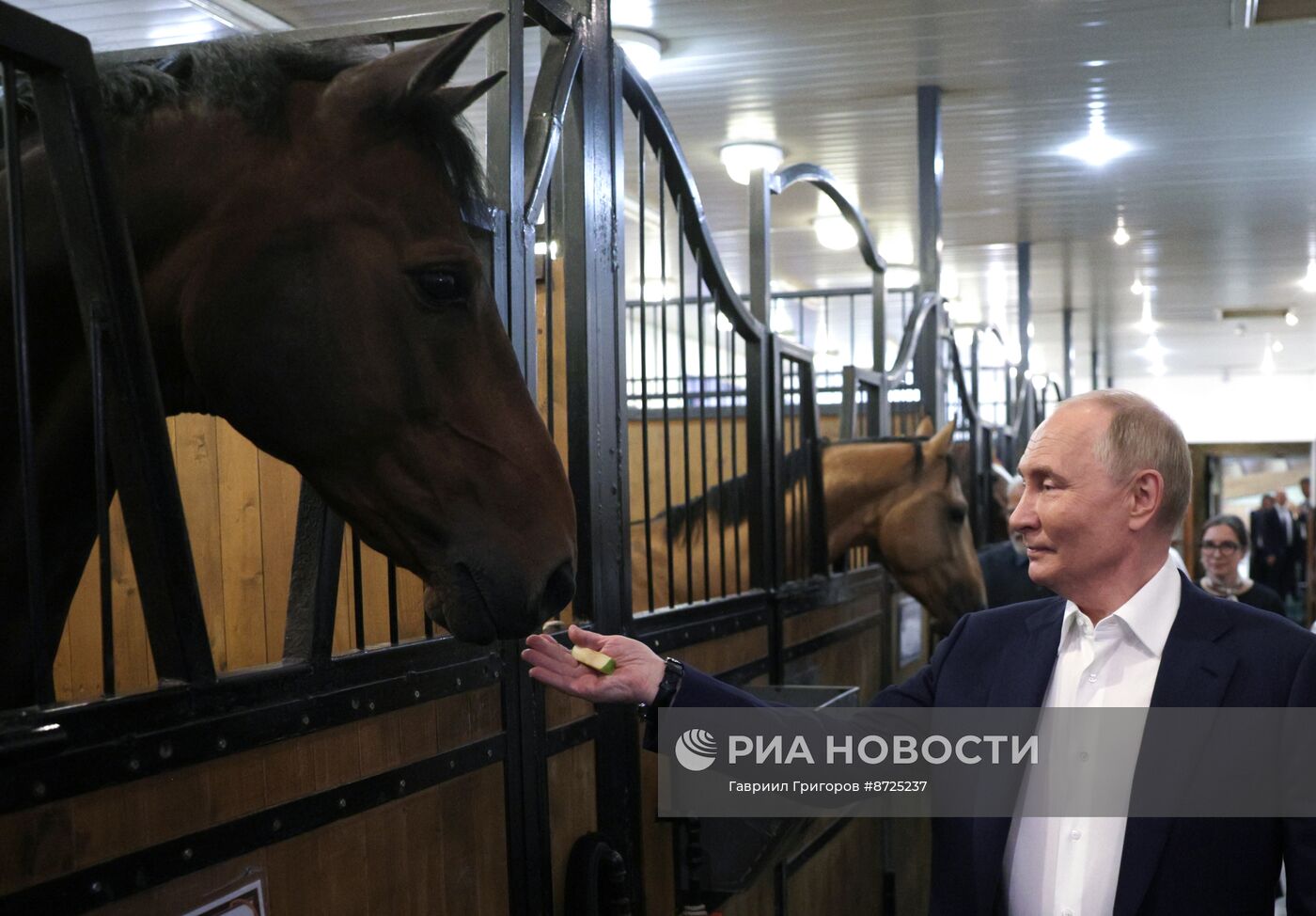 Встреча президента Владимира Путина с премьер-министром Индии Нарендрой Моди