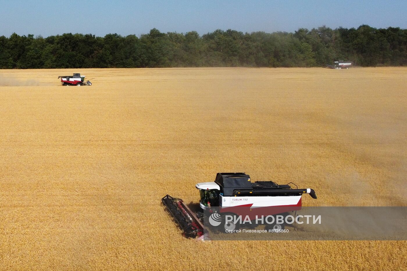 Сбор урожая пшеницы в Ростовской области