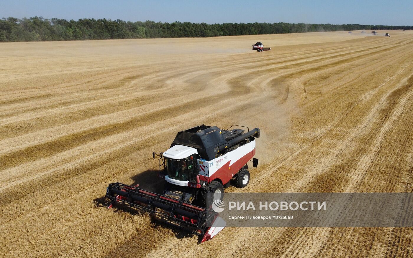 Сбор урожая пшеницы в Ростовской области