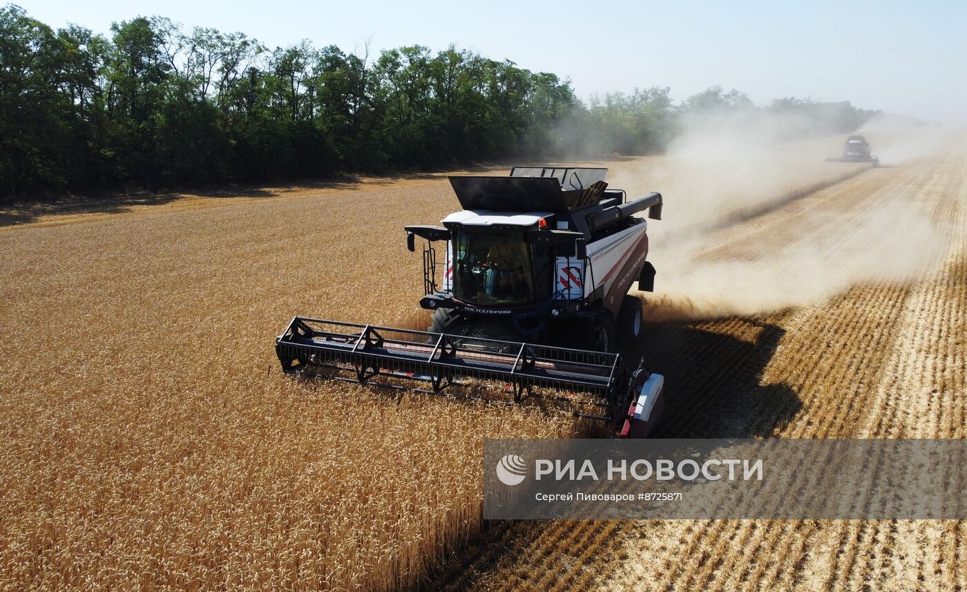 Сбор урожая пшеницы в Ростовской области